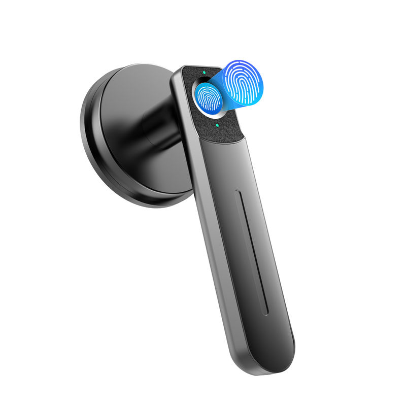 Vingerafdruk deur slot, sleutellose toegang deur slot met handvat, biometrisch deur slot, 100 vingerafdrukken Smart Door Lock Knob