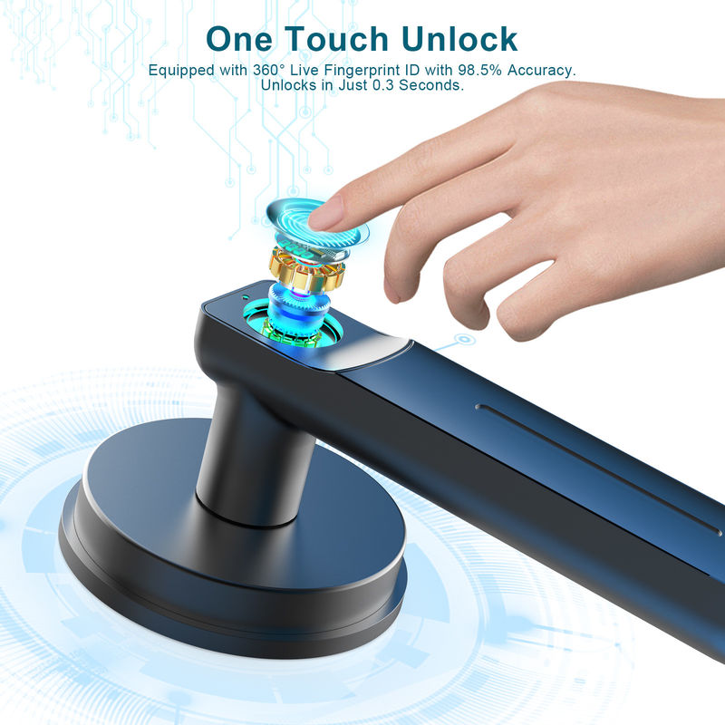 D01 Smart Keyless Entry Door Lock Met Handle, Fingerprint Door Lock Voor kamer/kantoor/apparaat